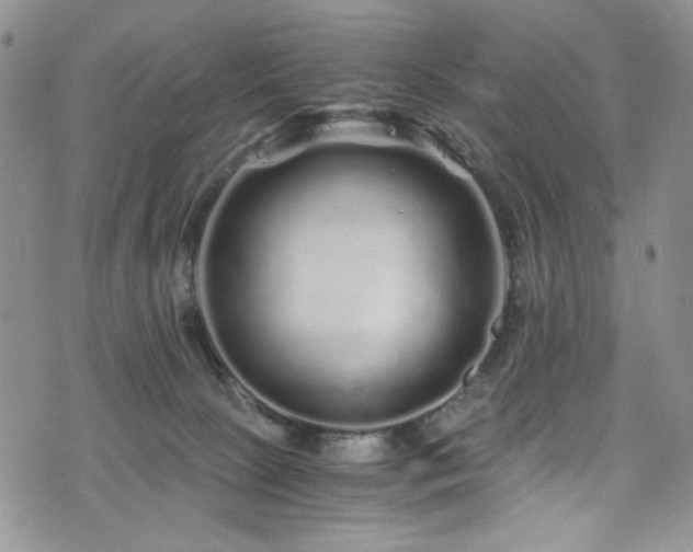 X0000076270081200609281216