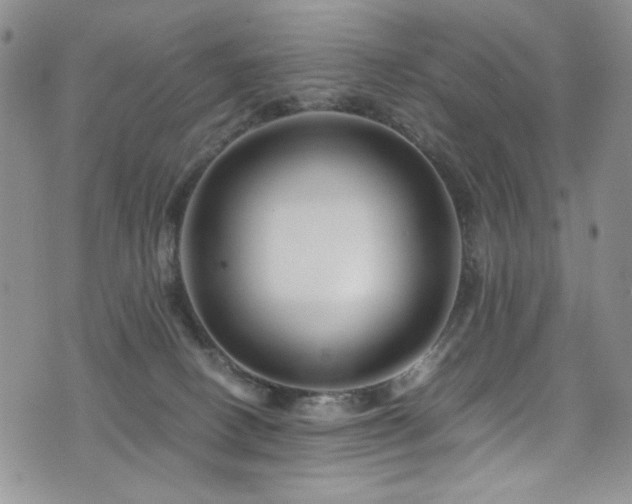 X0000076270082200609281216