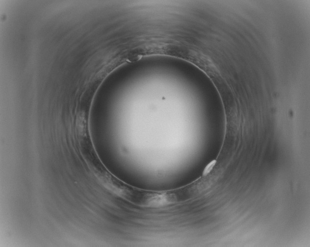 X0000076270083200609281216