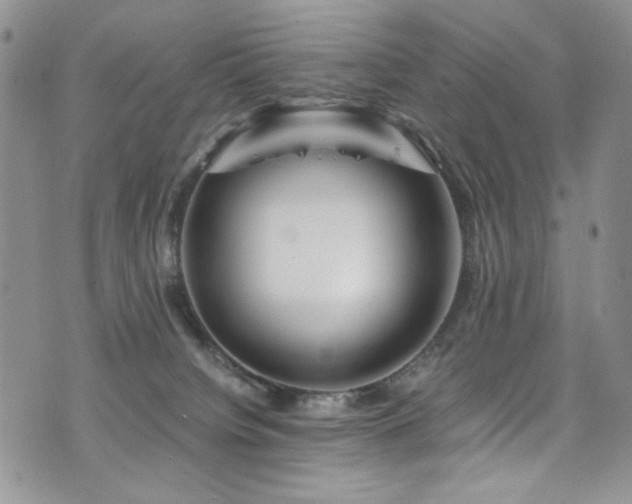 X0000076270084200609281216