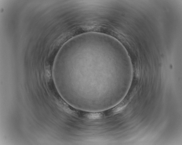 X0000076270085200609281216