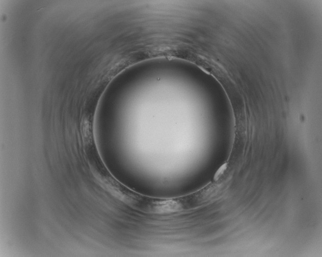 X0000076270087200609281216