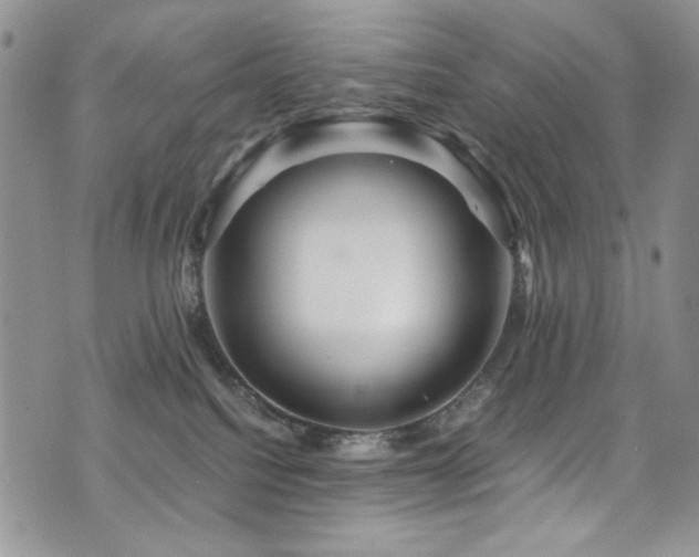 X0000076270088200609281216