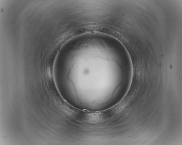 X0000076270089200609281216