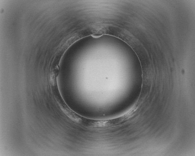 X0000076270090200609281216