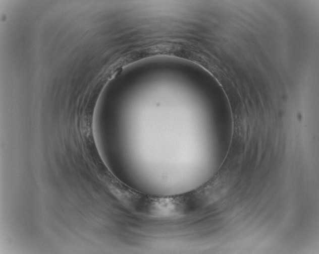 X0000076270091200609281216