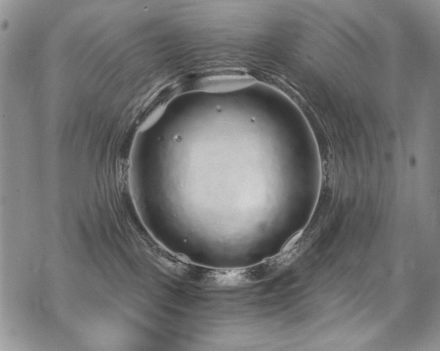 X0000076270093200609281216