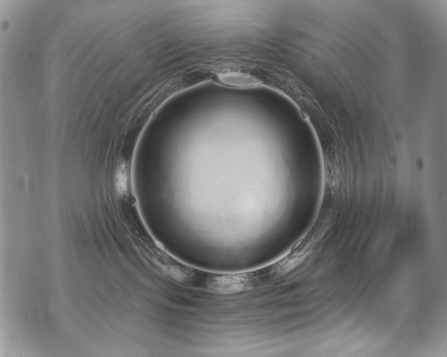 X0000076270095200609281216