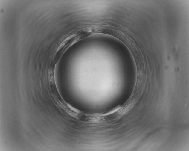 X0000076270096200609281216