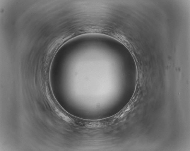 X0000076270097200609281216