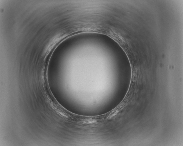 X0000076270098200609281216