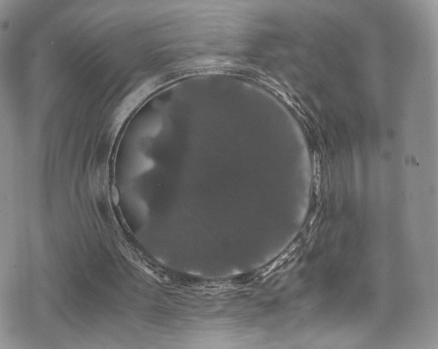 X0000076270099200609281215