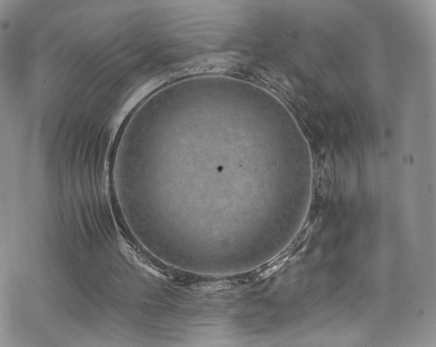 X0000076270100200609281215