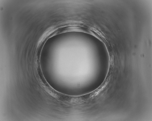 X0000076270101200609281215