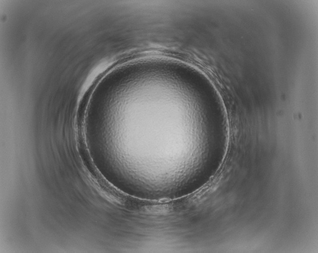 X0000076270102200609281215