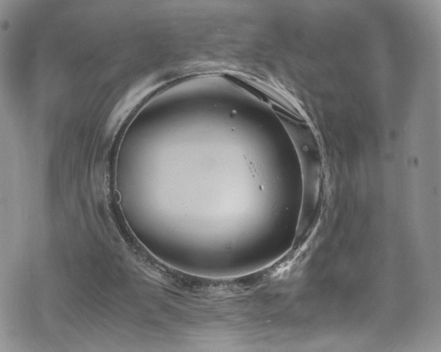 X0000076270103200609281215