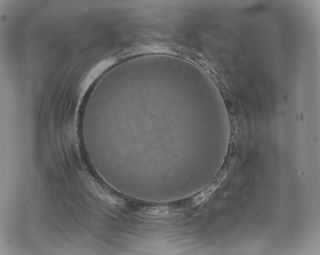 X0000076270104200609281215