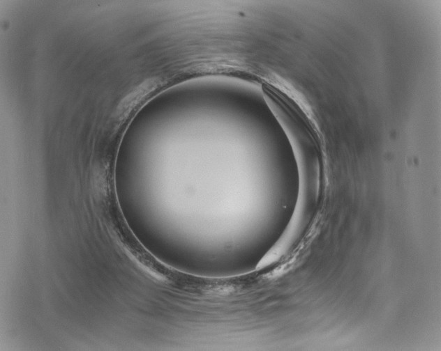 X0000076270105200609281215