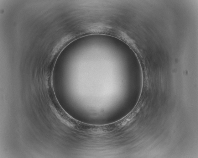 X0000076270106200609281215