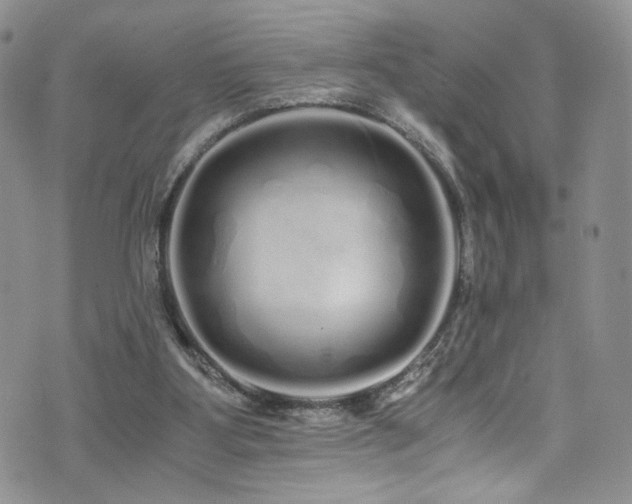 X0000076270107200609281215