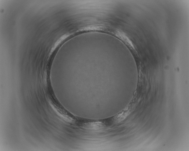 X0000076270108200609281215