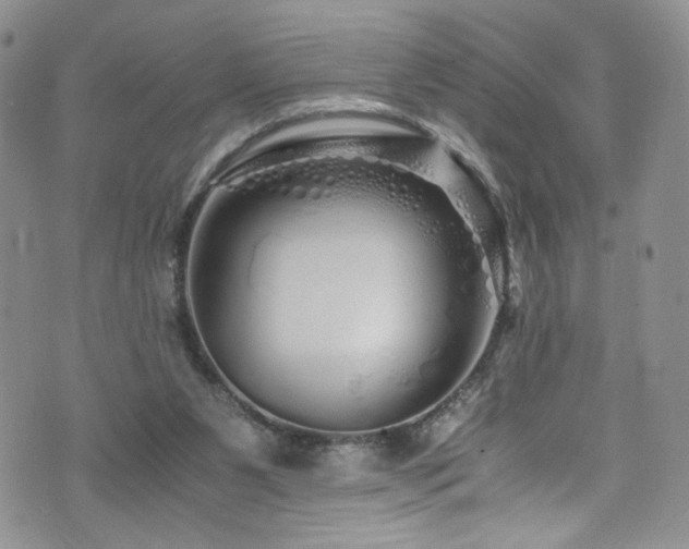 X0000076270111200609281215