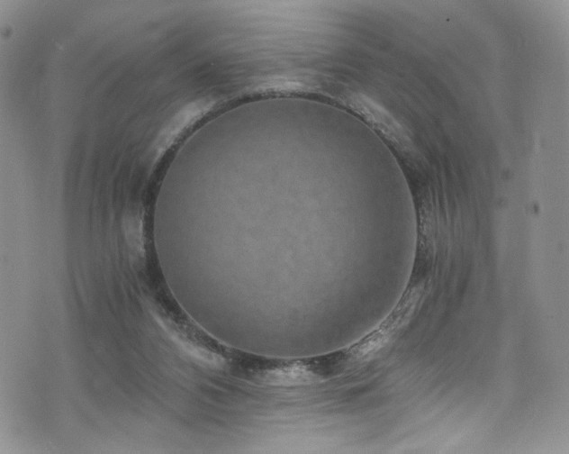 X0000076270112200609281215