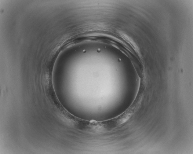 X0000076270113200609281215