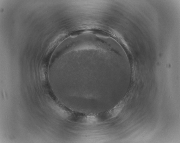 X0000076270114200609281215