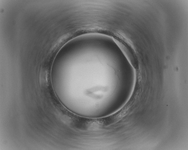 X0000076270115200609281215