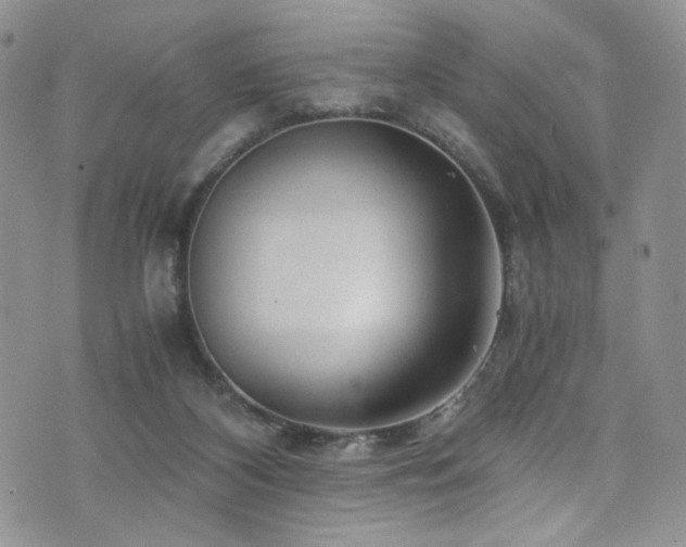 X0000076270116200609281215