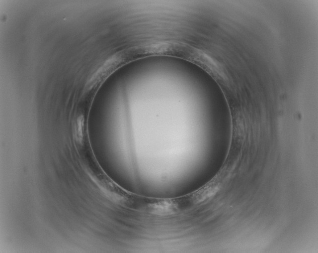 X0000076270118200609281215