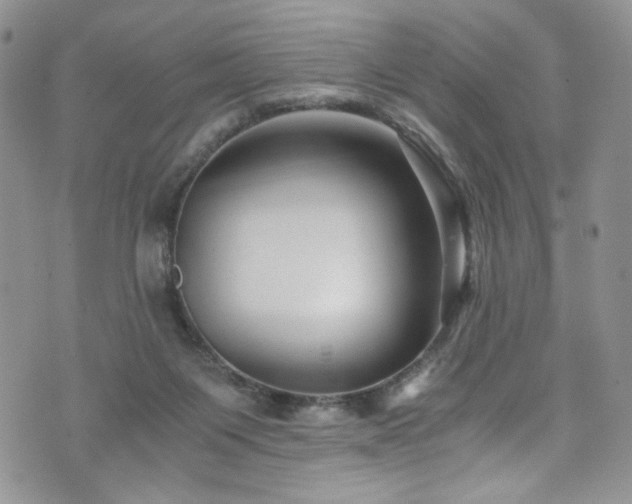 X0000076270119200609281215