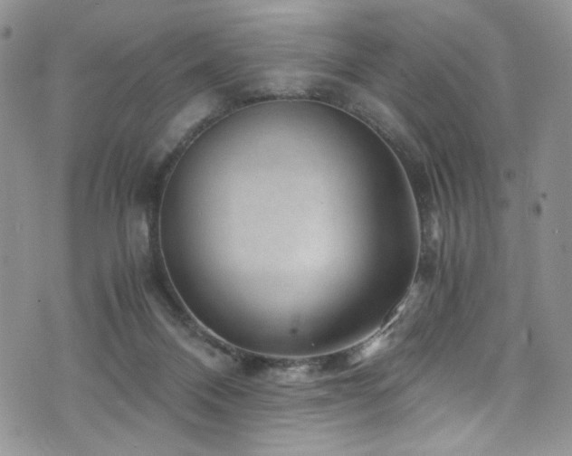 X0000076270120200609281215