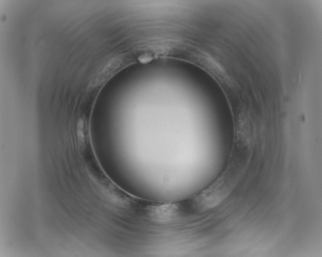 X0000076270122200609281215