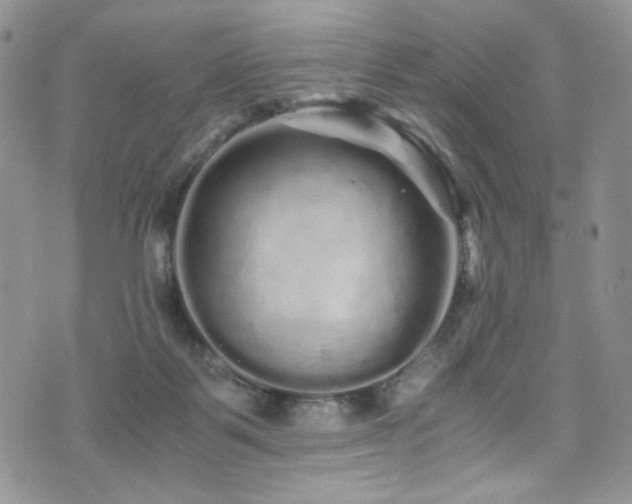 X0000076270123200609281215