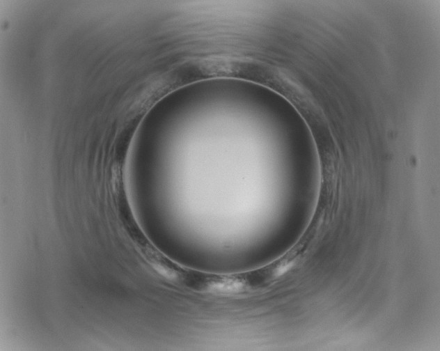 X0000076270125200609281215