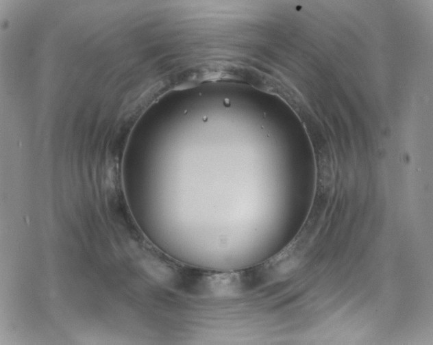 X0000076270126200609281215