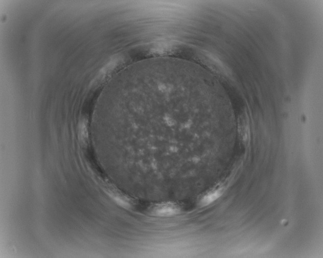 X0000076270127200609281215