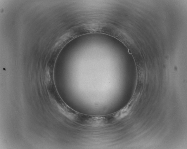 X0000076270128200609281215