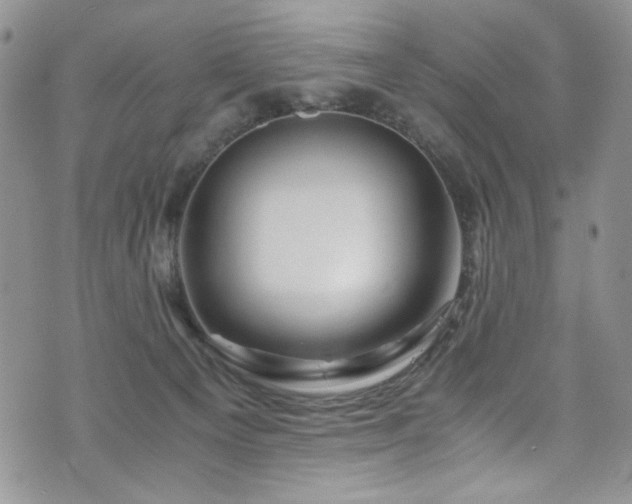 X0000076270129200609281215