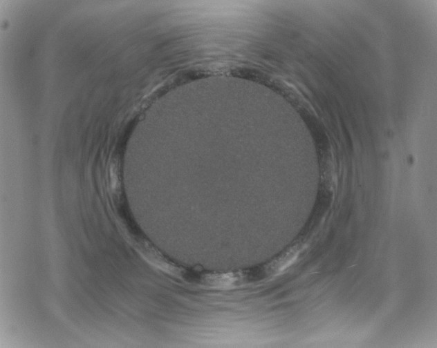 X0000076270131200609281215