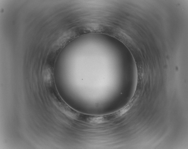 X0000076270132200609281215