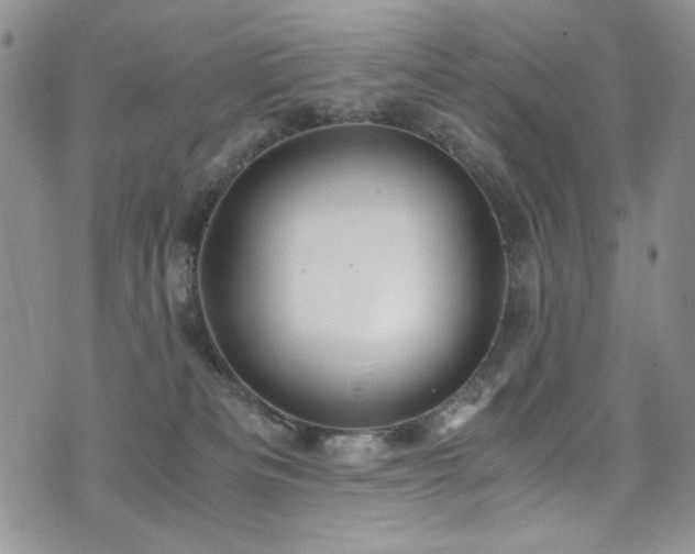 X0000076270133200609281215