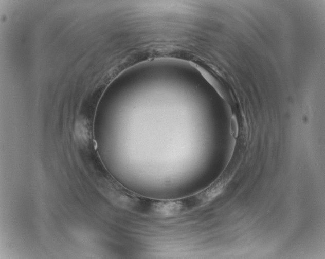 X0000076270135200609281215