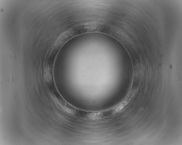 X0000076270136200609281215