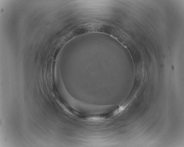 X0000076270137200609281215