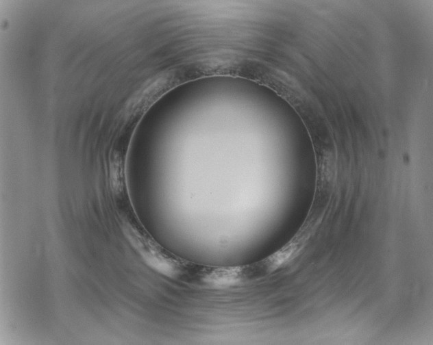 X0000076270138200609281215