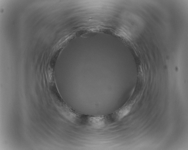 X0000076270139200609281215