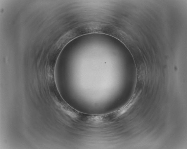 X0000076270140200609281215